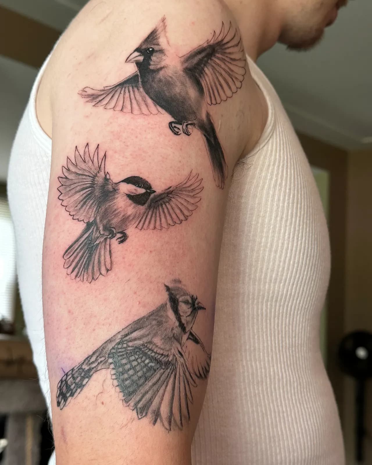Black and grey realism cardinal, chickadee and blue jay in flight upper arm tattoo by Slick at Studio AZ Tattoo Minneapolis